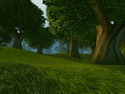 elwynn forest