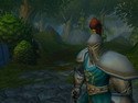 elwynn forest