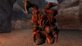 Infested Terran