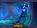 Night Elf in the Forest